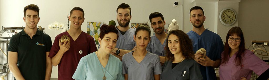 Equipo de Animales Exóticos 24h