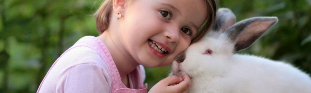 El amor por las mascotas