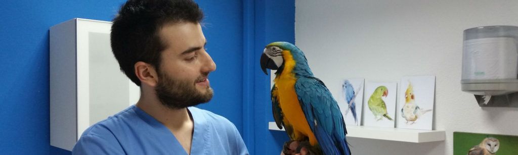 ¿Qué incluye tu primera visita a Animales Exóticos 24h?