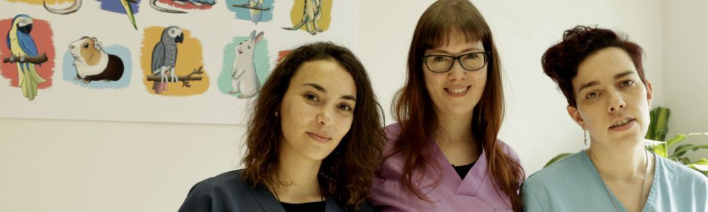 La importancia del Asistente Técnico Veterinario