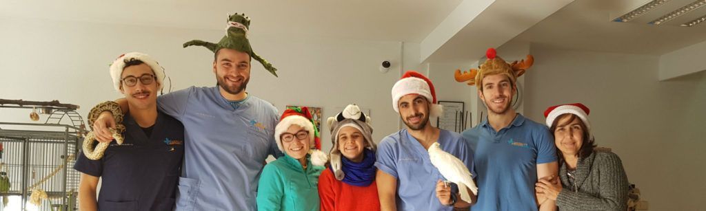 ¡Felices Fiestas de parte de Animales Exóticos!