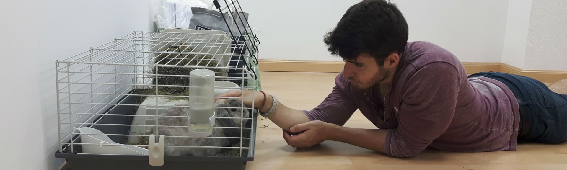 Guía sobre la tenencia responsable de animales
