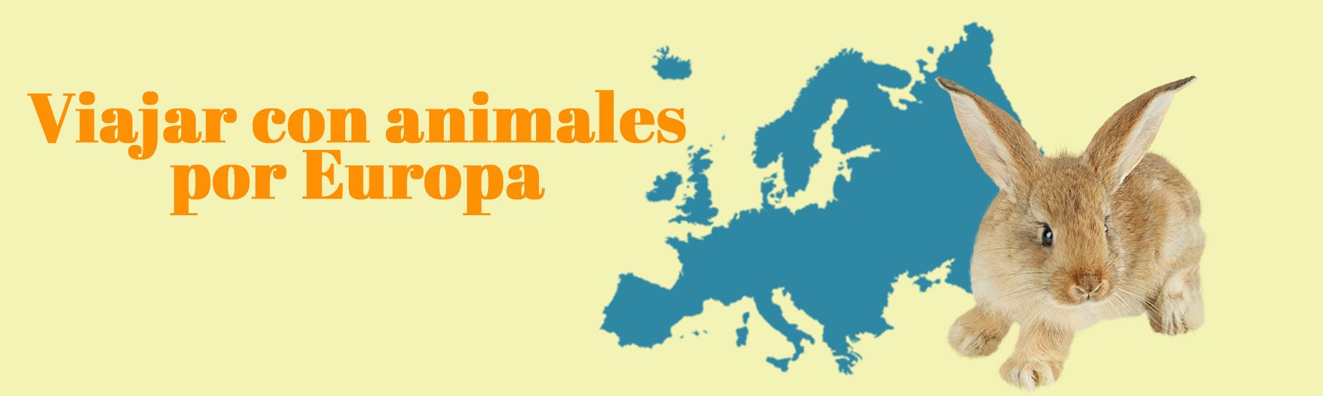 Viajes entre España y la Unión Europea con animales