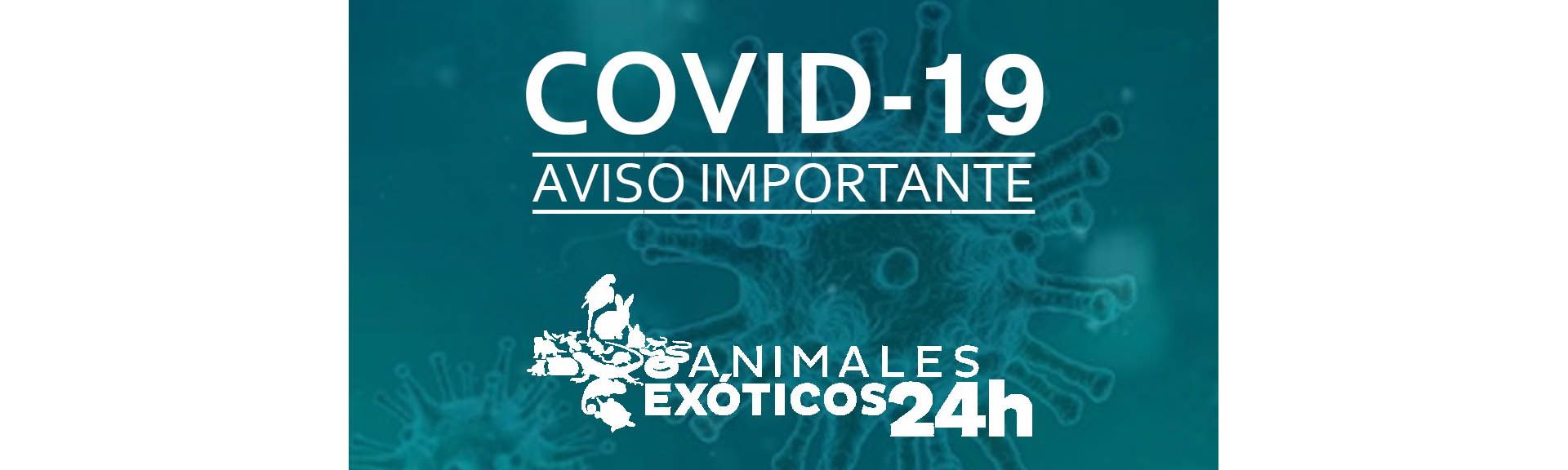Novedades respecto al COVID-19 en animales