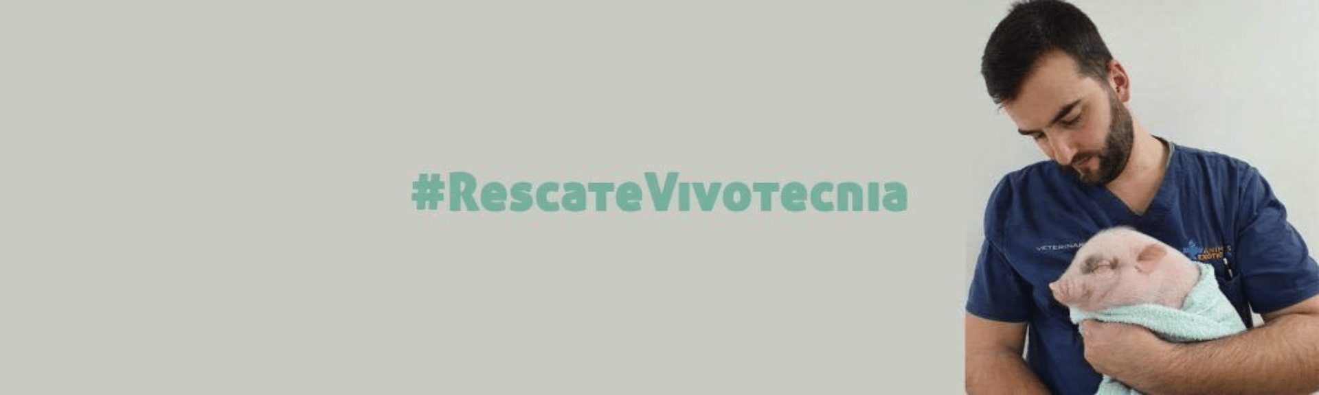 Qué ocurre con la experimentación animal y Vivotecnia