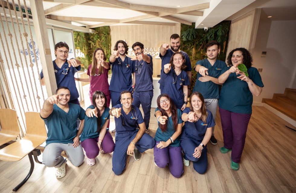 ANIMALES EXÓTICOS 24H - Veterinarios especialistas